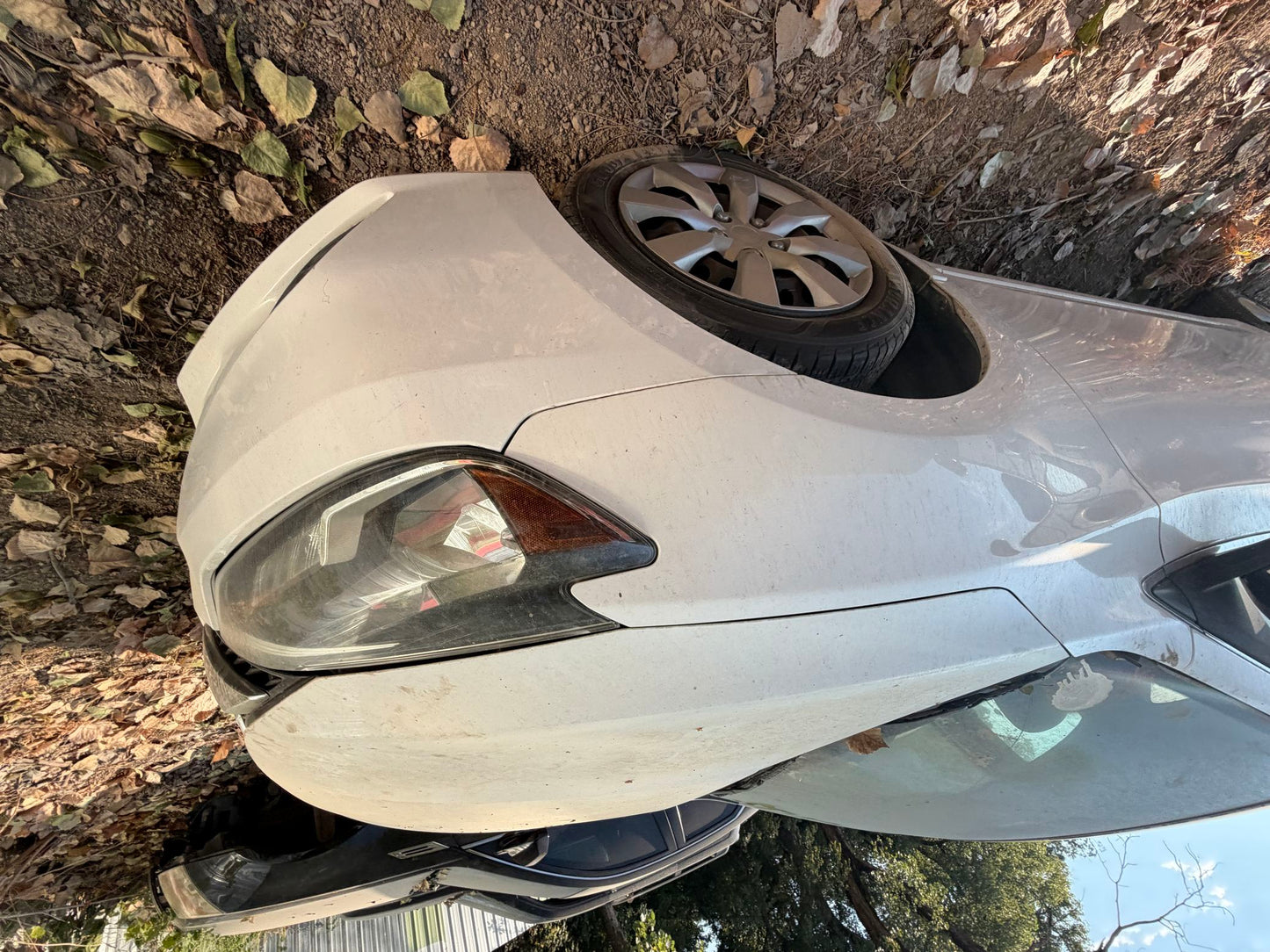 Strut Front Driver Side 2013 - 2019 Nissan Sentra