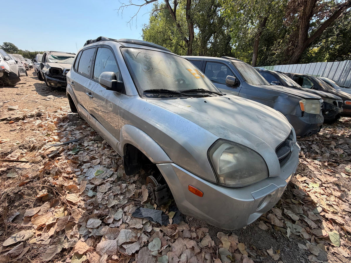 Door Window Glass Rear Driver Side 2005 - 2009 Hyundai Tucson