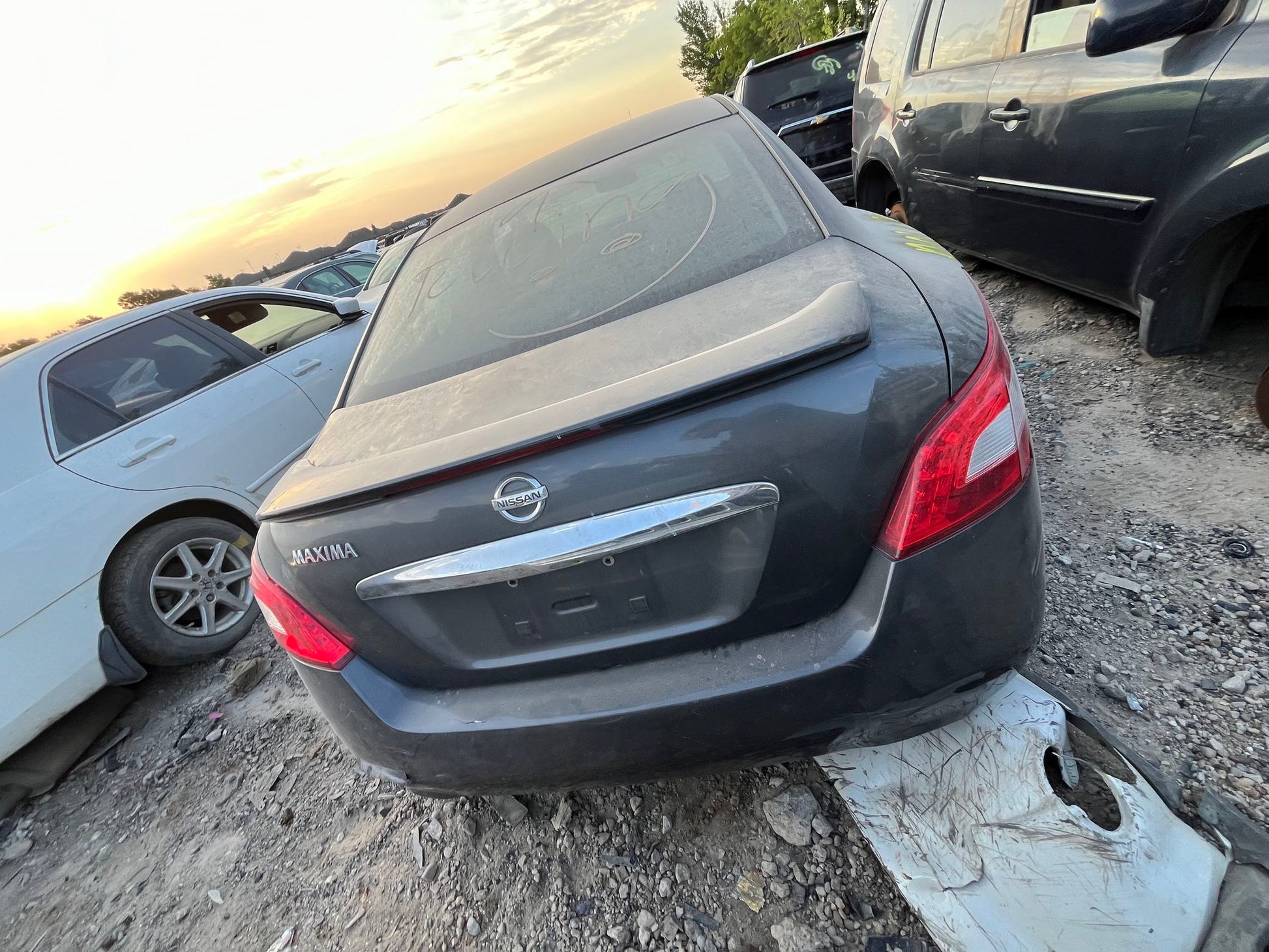 Shock Absorber Rear Passenger Side 2009 - 2014 Nissan Maxima
