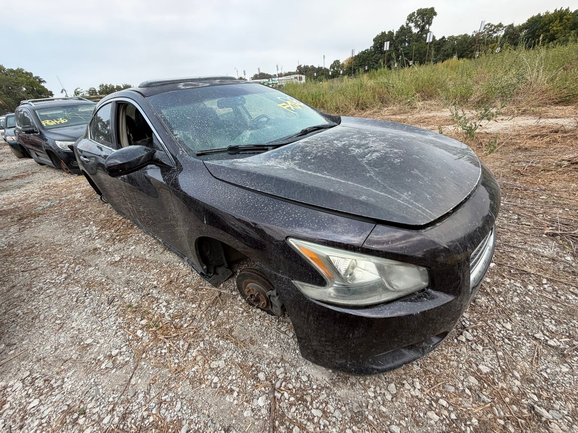 Steering Wheel 2009 - 2014 Nissan Maxima