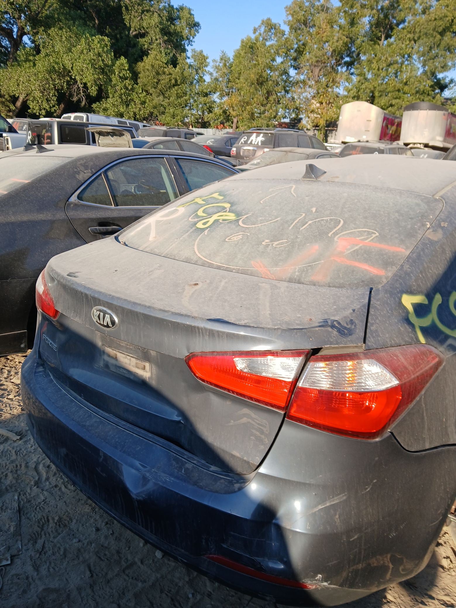 Control Arm Front Passenger Side Lower 2014 - 2018 Kia Forte