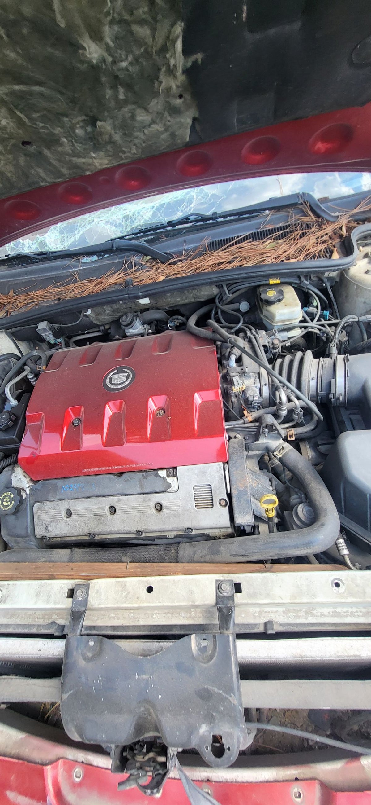 Brake Rotor Rear 2000 - 2005 Cadillac DeVille
