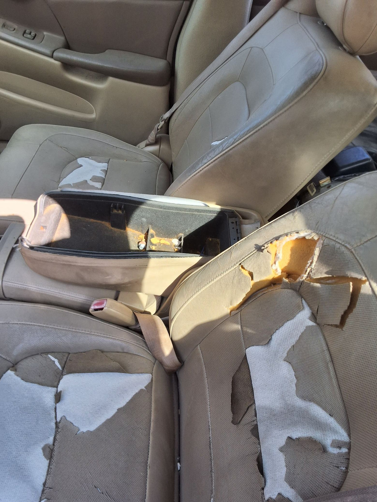 Mirror Passenger Side 2000 - 2005 Cadillac DeVille