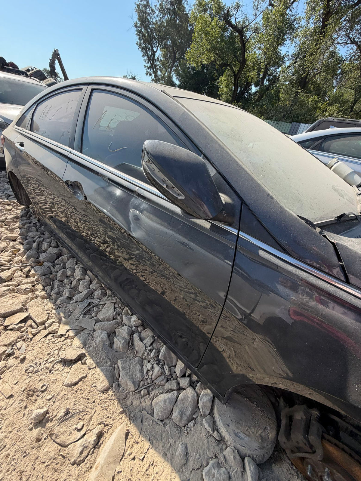 Control Arm Rear Passenger Side Upper 2011 - 2014 Hyundai Sonata