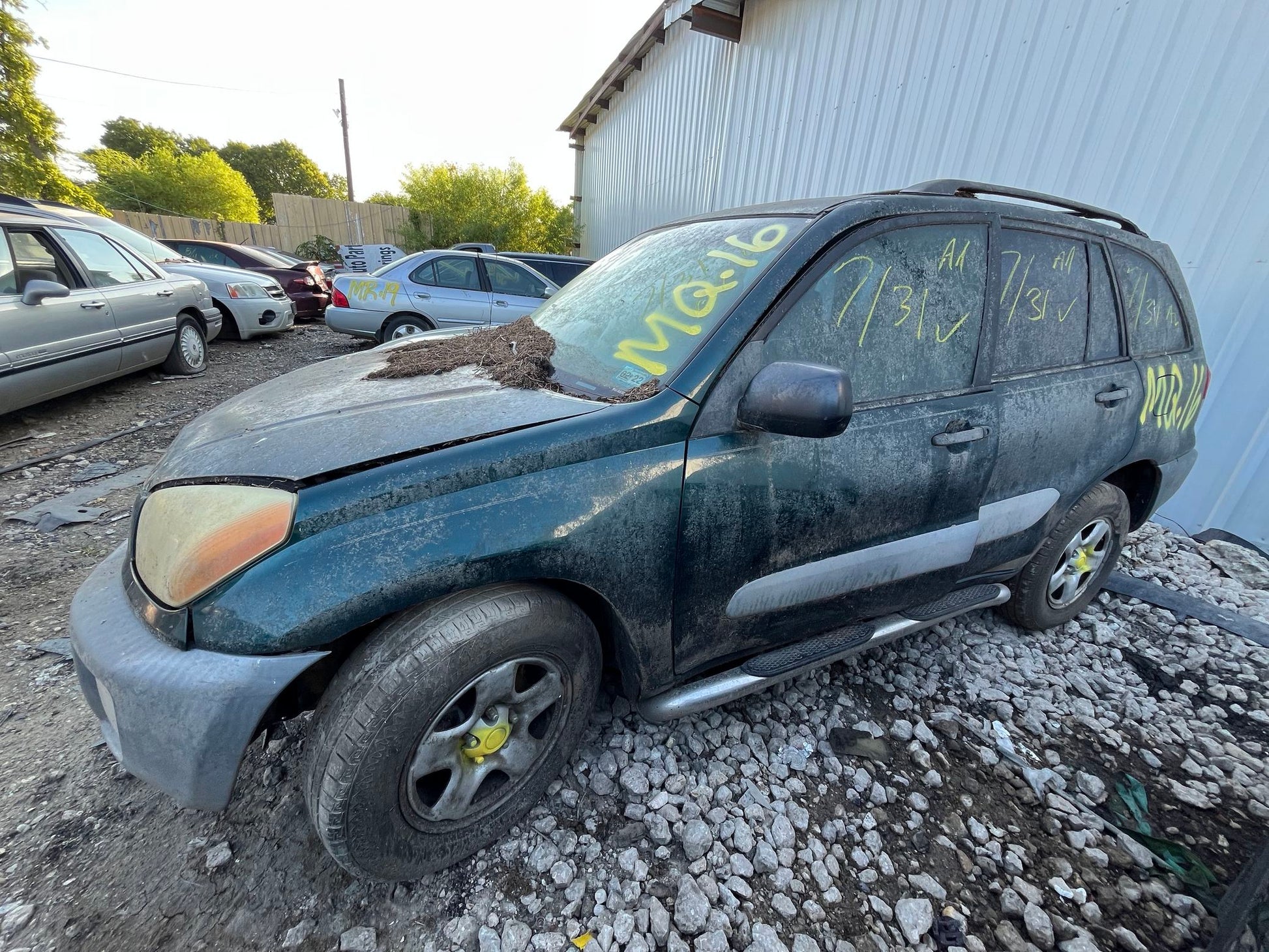 Seat Belt Front Passenger Side 2001 - 2005 Toyota RAV4