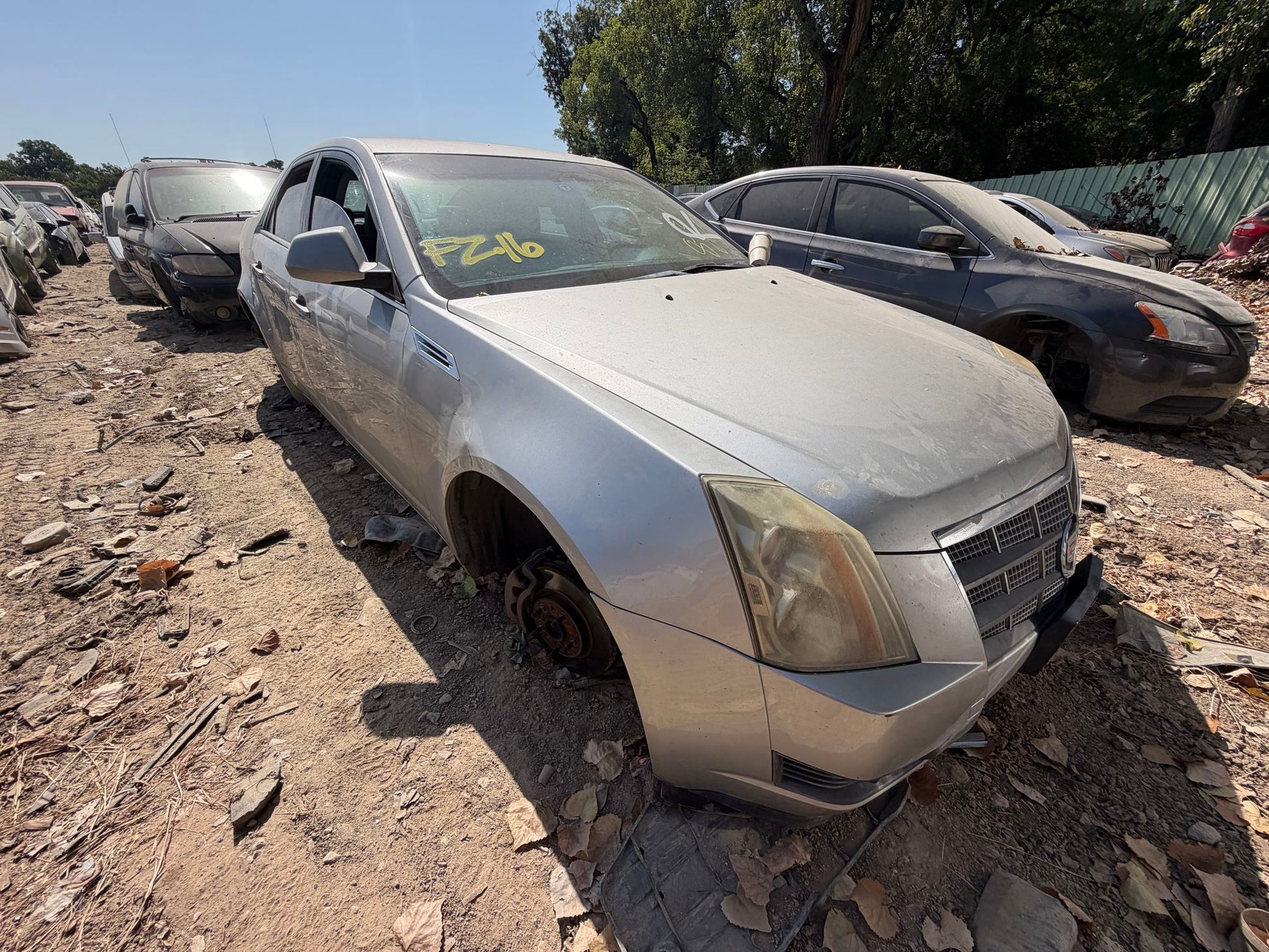 Shock Absorber Rear Passenger Side 2008 - 2013 Cadillac CTS