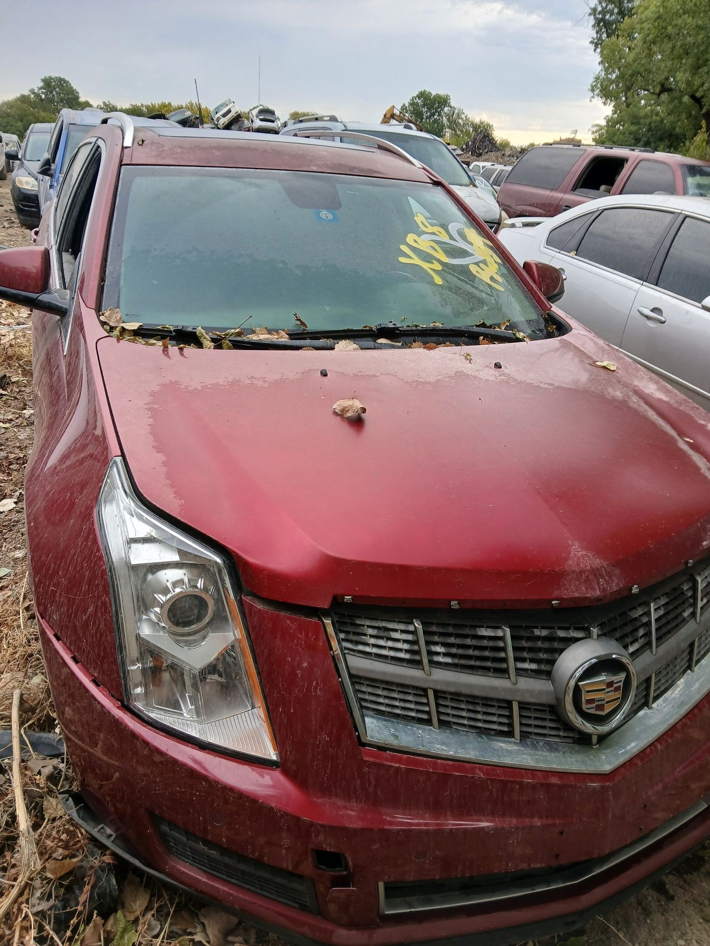 Door Trim Panel Rear Passenger Side 2010 - 2016 Cadillac SRX