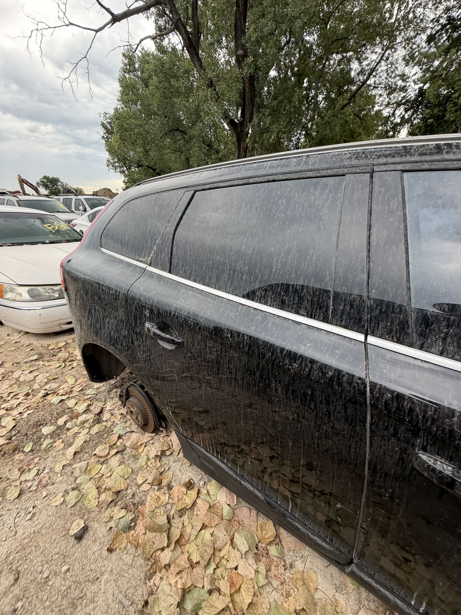 Fender Front Driver Side 2010 - 2017 Volvo XC60