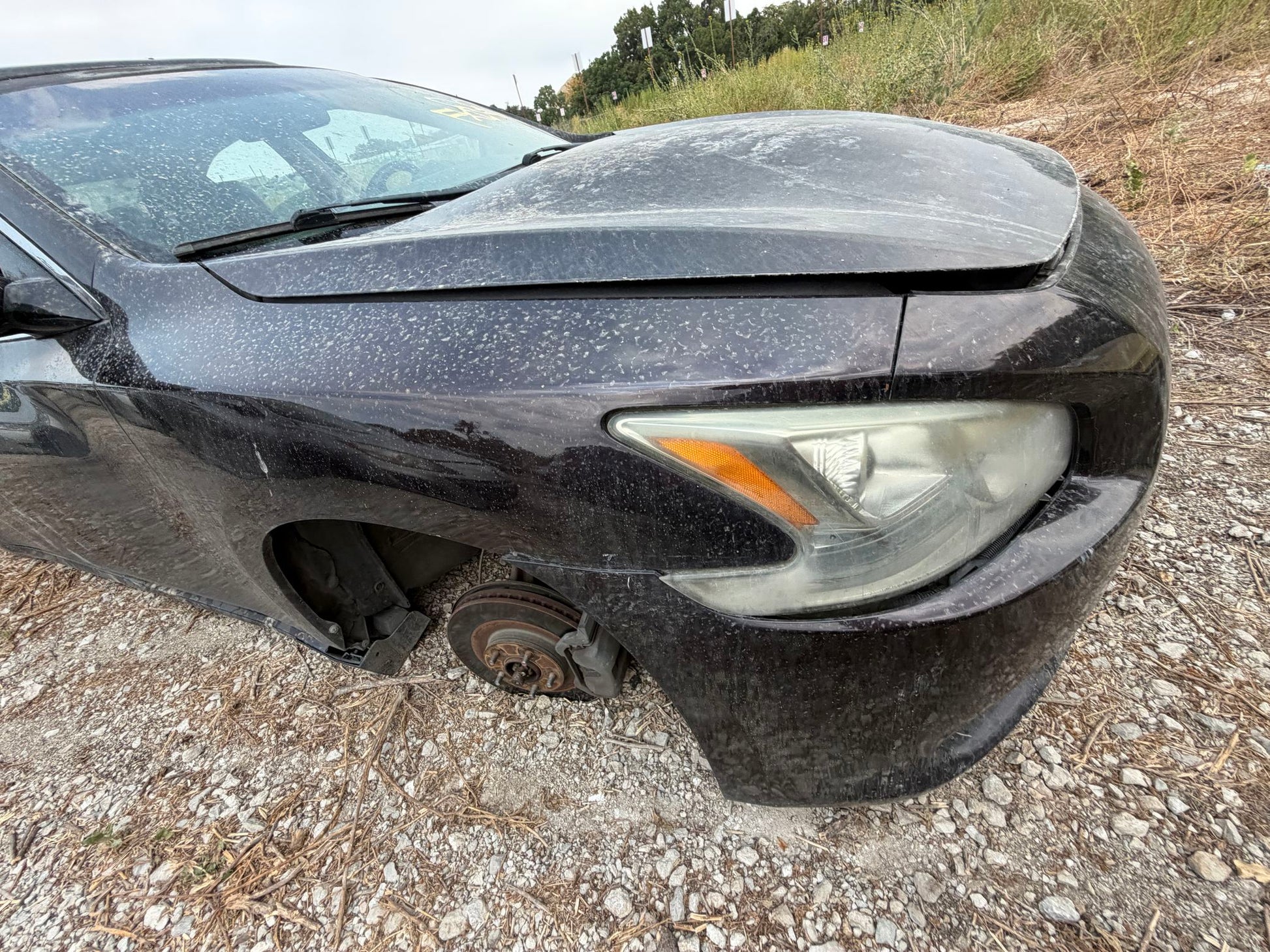 Carpet 2009 - 2014 Nissan Maxima