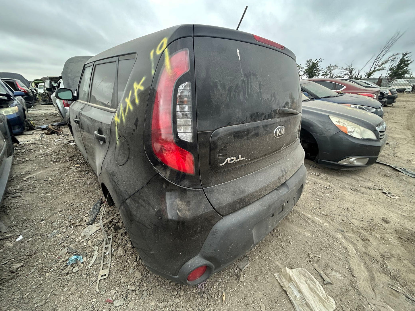 Brake Rotor Rear 2014 - 2019 Kia Soul