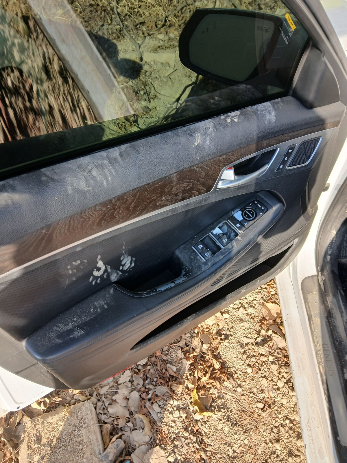 Door Panel Front Driver Side 2015 - 2016 Hyundai Genesis