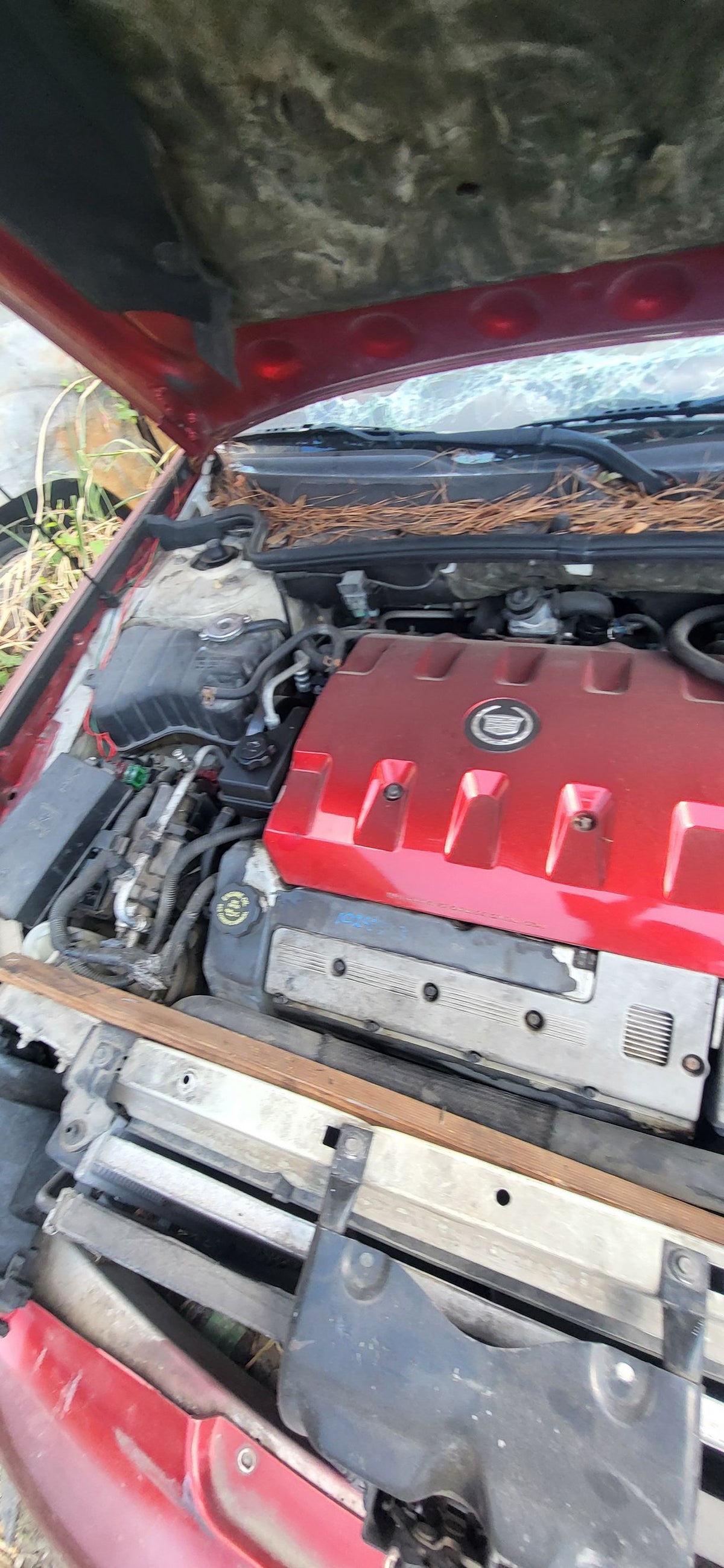 Battery Cable Positive 2000 - 2005 Cadillac DeVille
