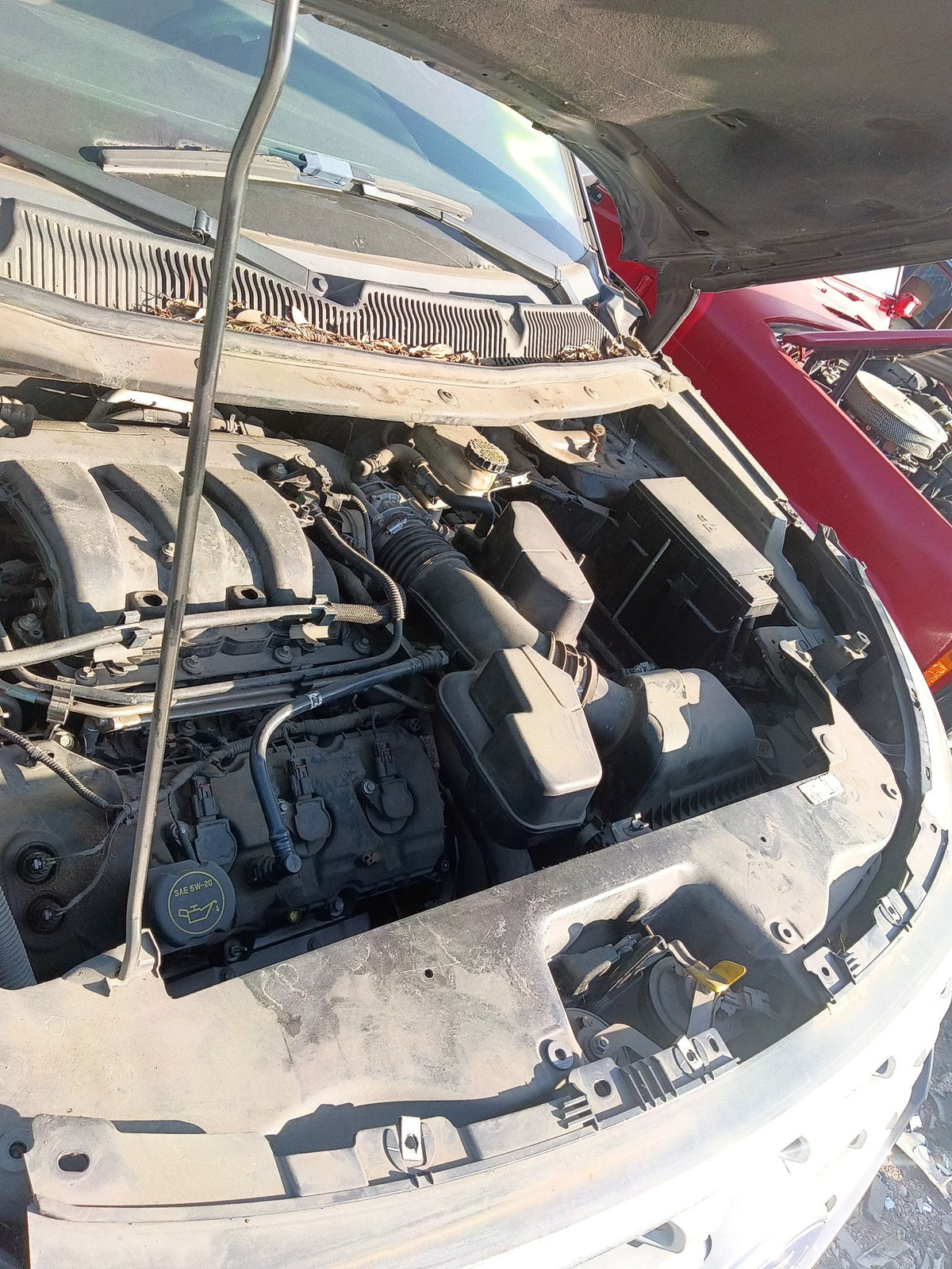 Coil Spring Rear 2011 - 2019 Ford Explorer