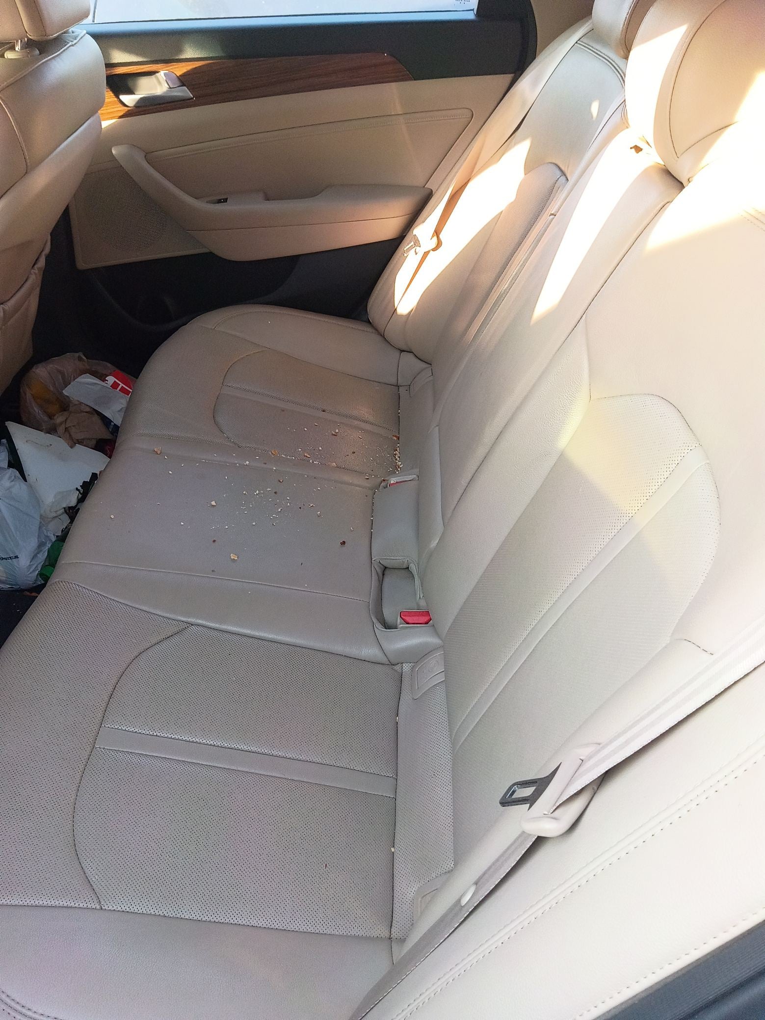 Trunk Lid 2015 - 2019 Hyundai Sonata