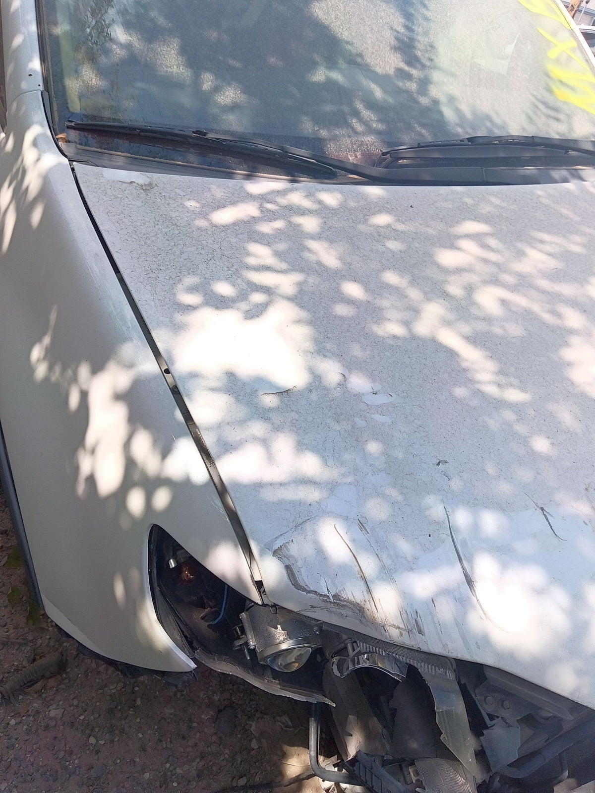 Windshield 2006 - 2014 Subaru Tribeca
