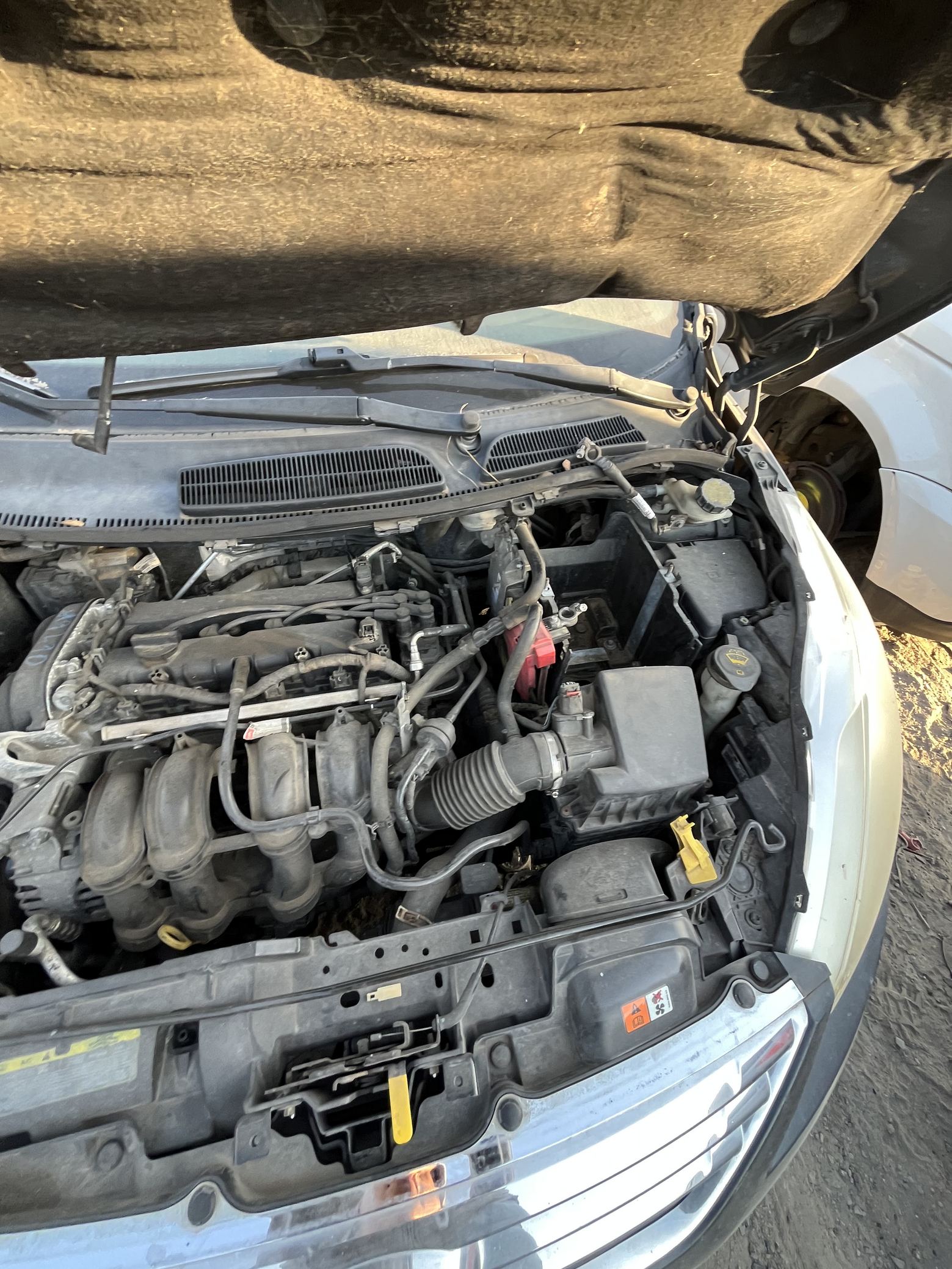 Door Window Glass Front Driver Side 2011 - 2019 Ford Fiesta