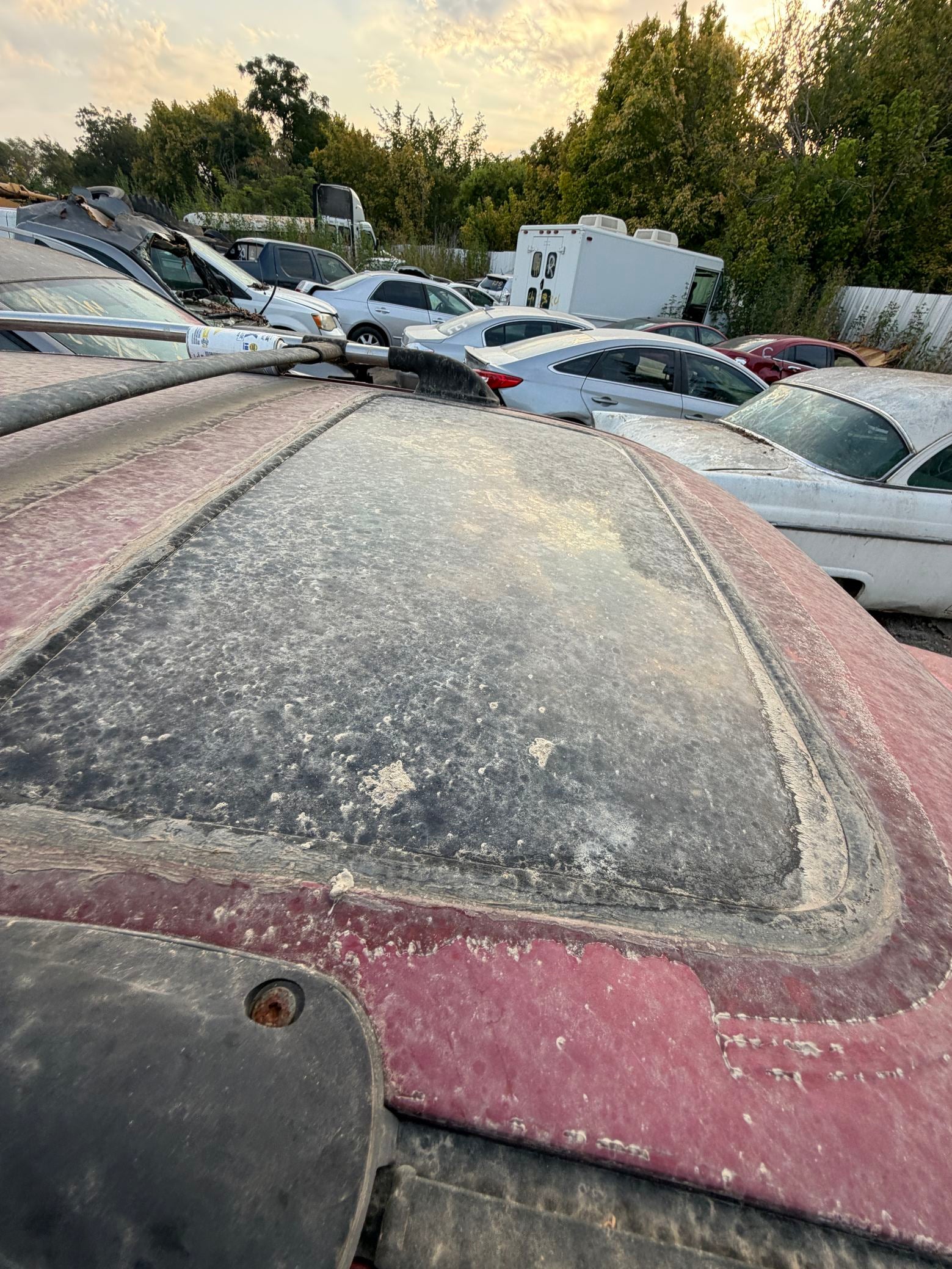 CV Axle Shaft Front Passenger Side 2001 - 2005 Toyota RAV4