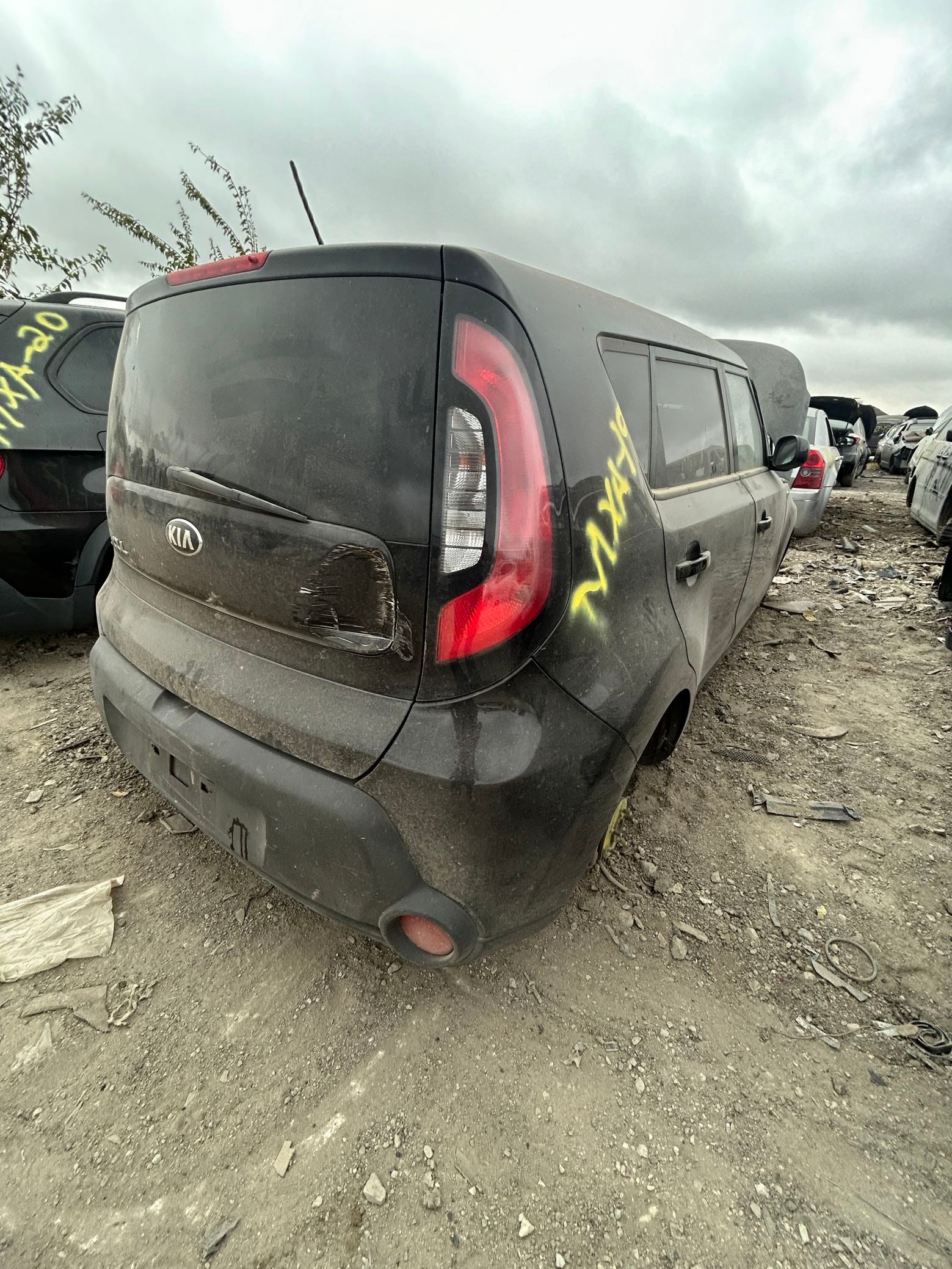 Engine Mount Passenger Side 2014 - 2019 Kia Soul