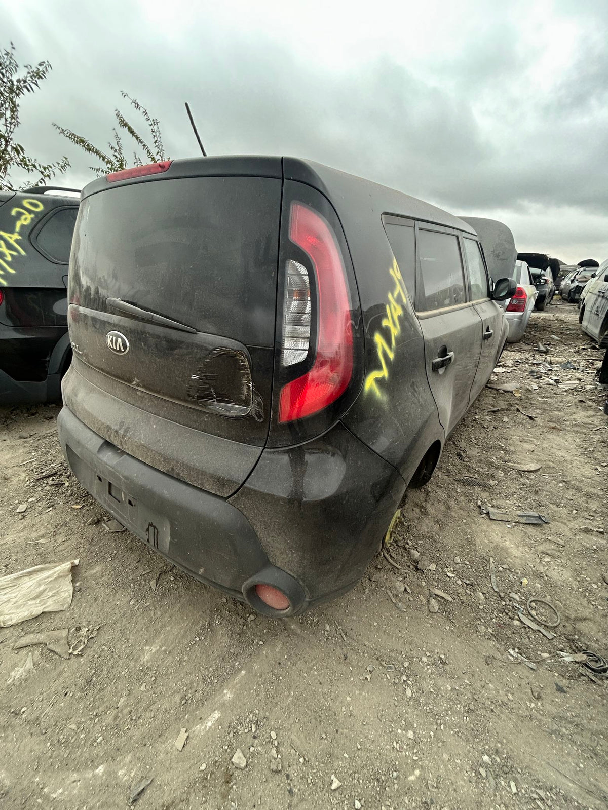 Hub Bearing Rear Passenger Side 2014 - 2019 Kia Soul