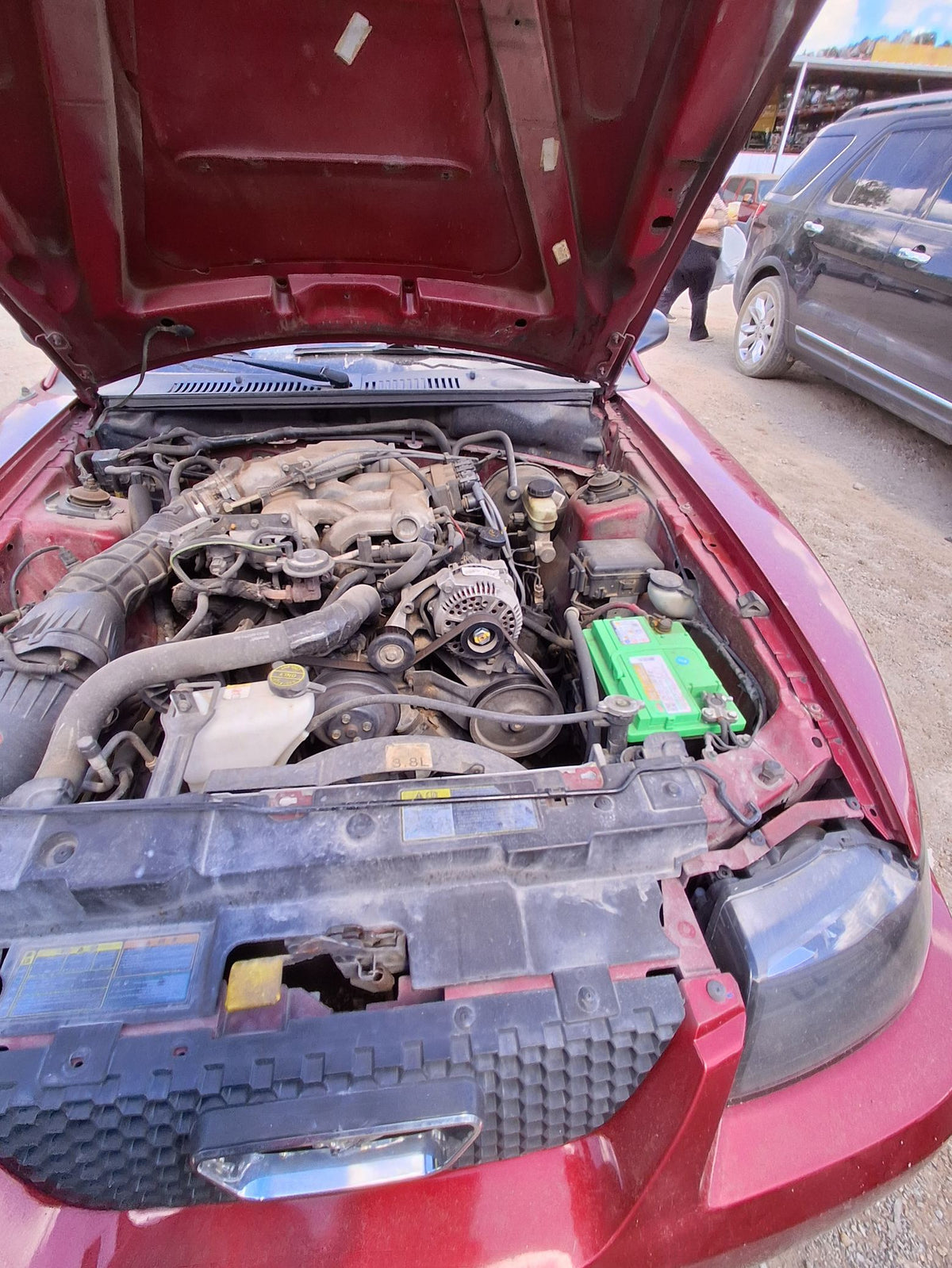 Window Motor Door Passenger Side 1994 - 2004 Ford Mustang