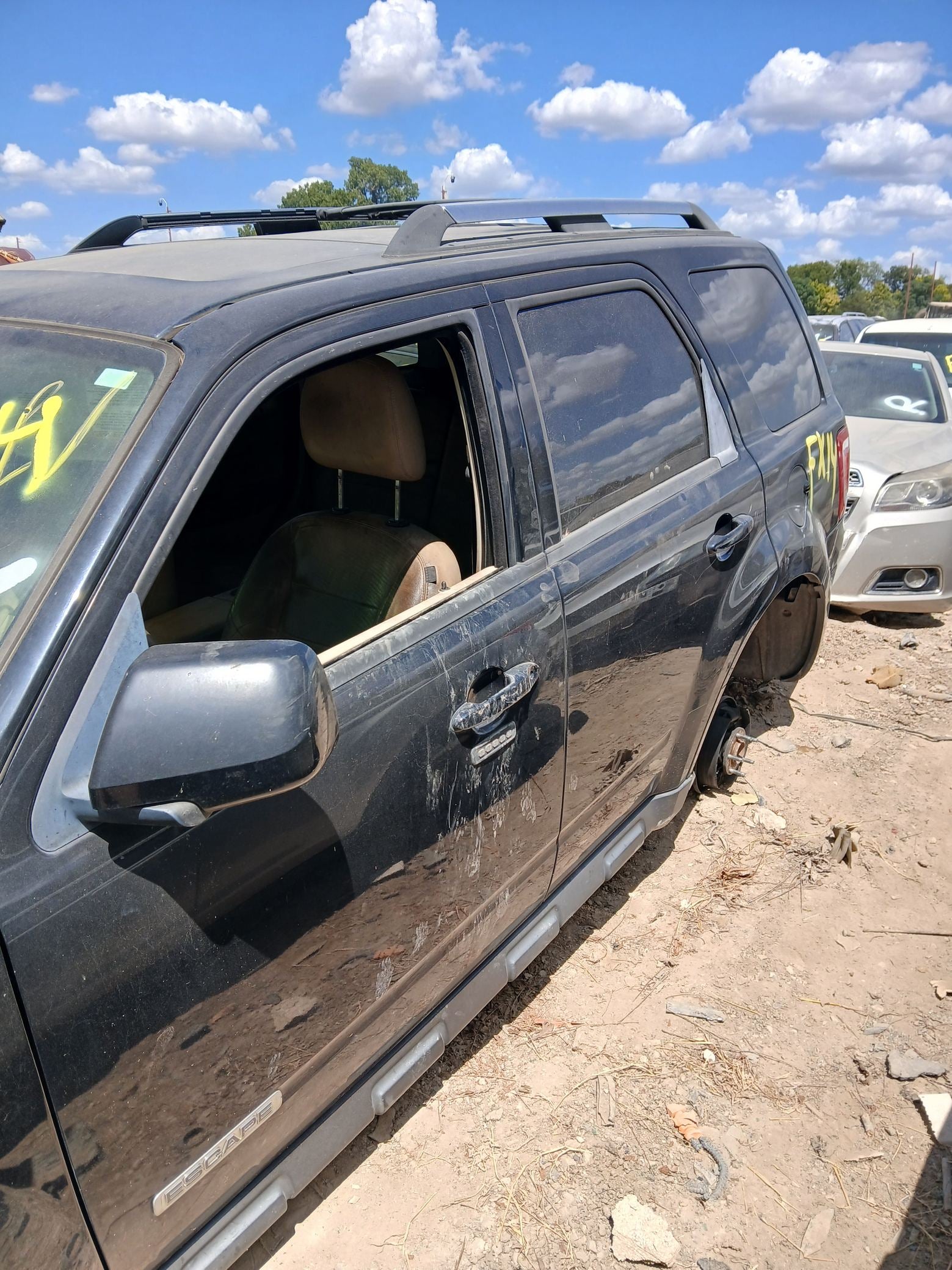 Engine Mount Rear 2008 - 2012 Ford Escape