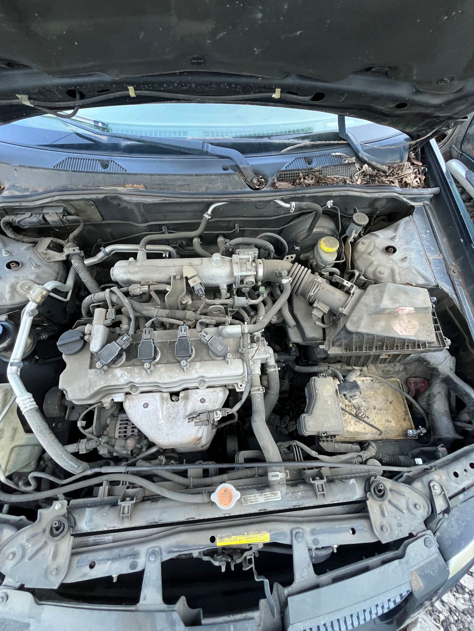 Heater Core 2000 - 2006 Nissan Sentra