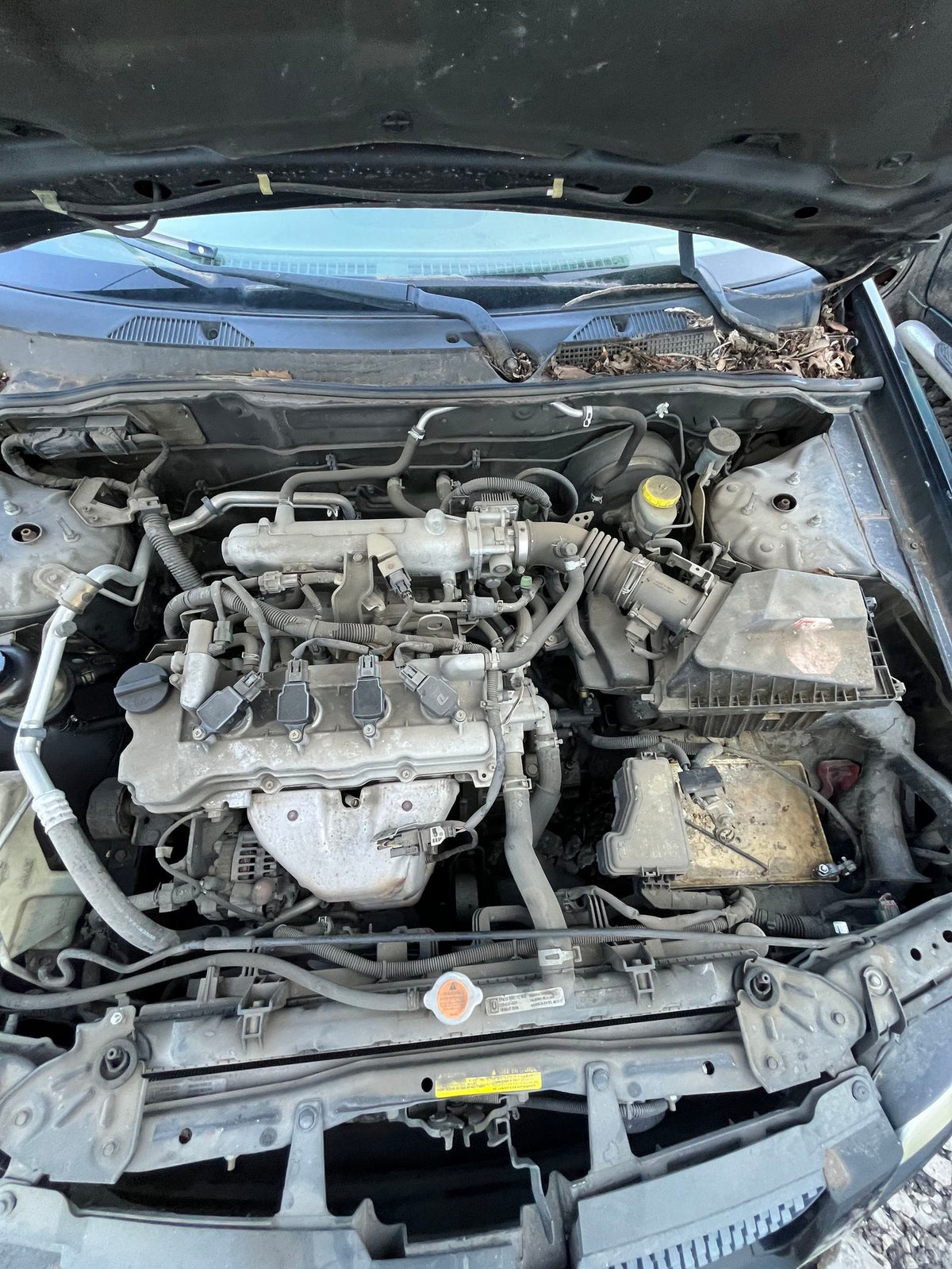 Exhaust Manifold 2000 - 2006 Nissan Sentra