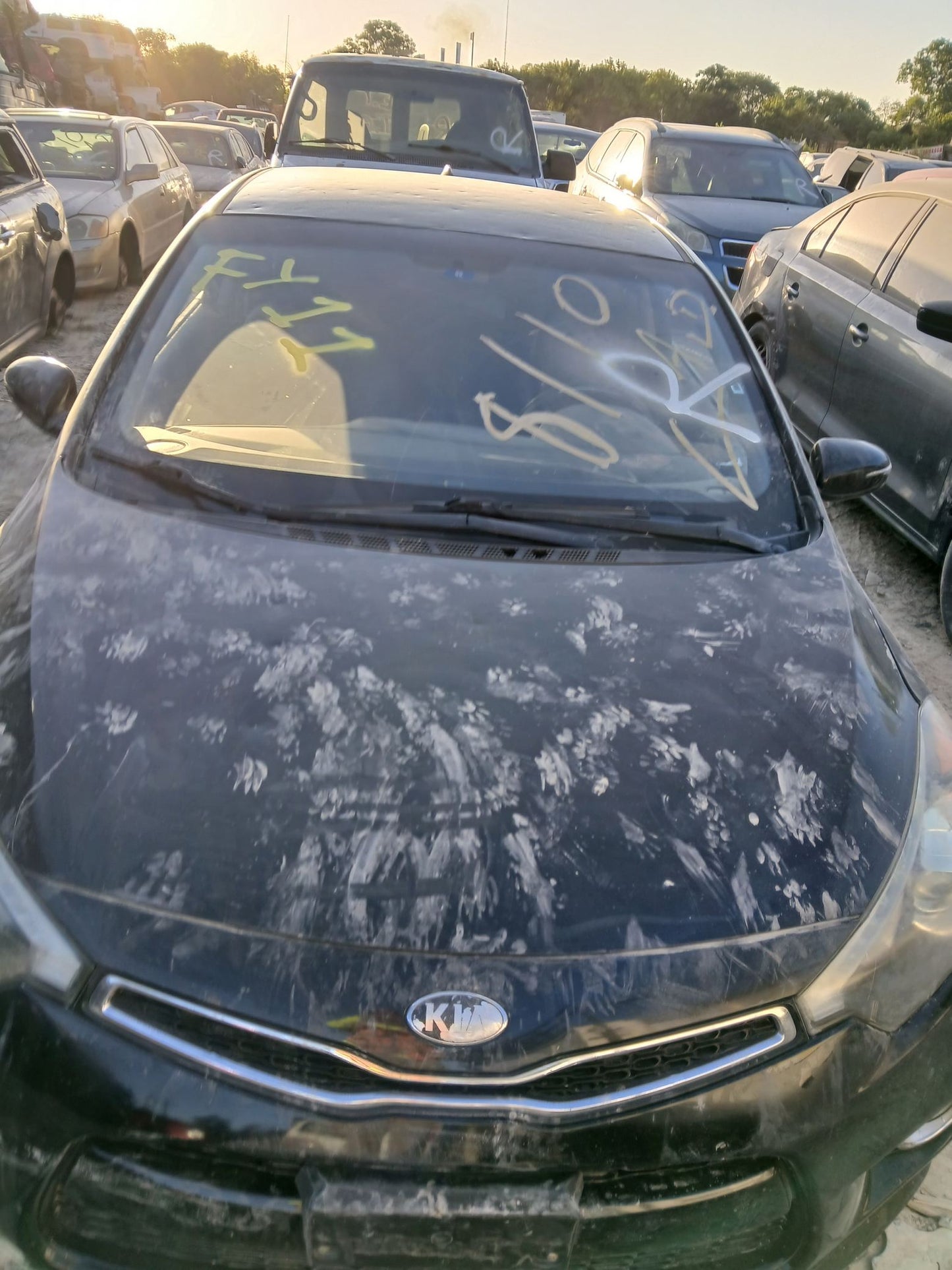 Sunroof Assembly 2014 - 2018 Kia Forte Koup