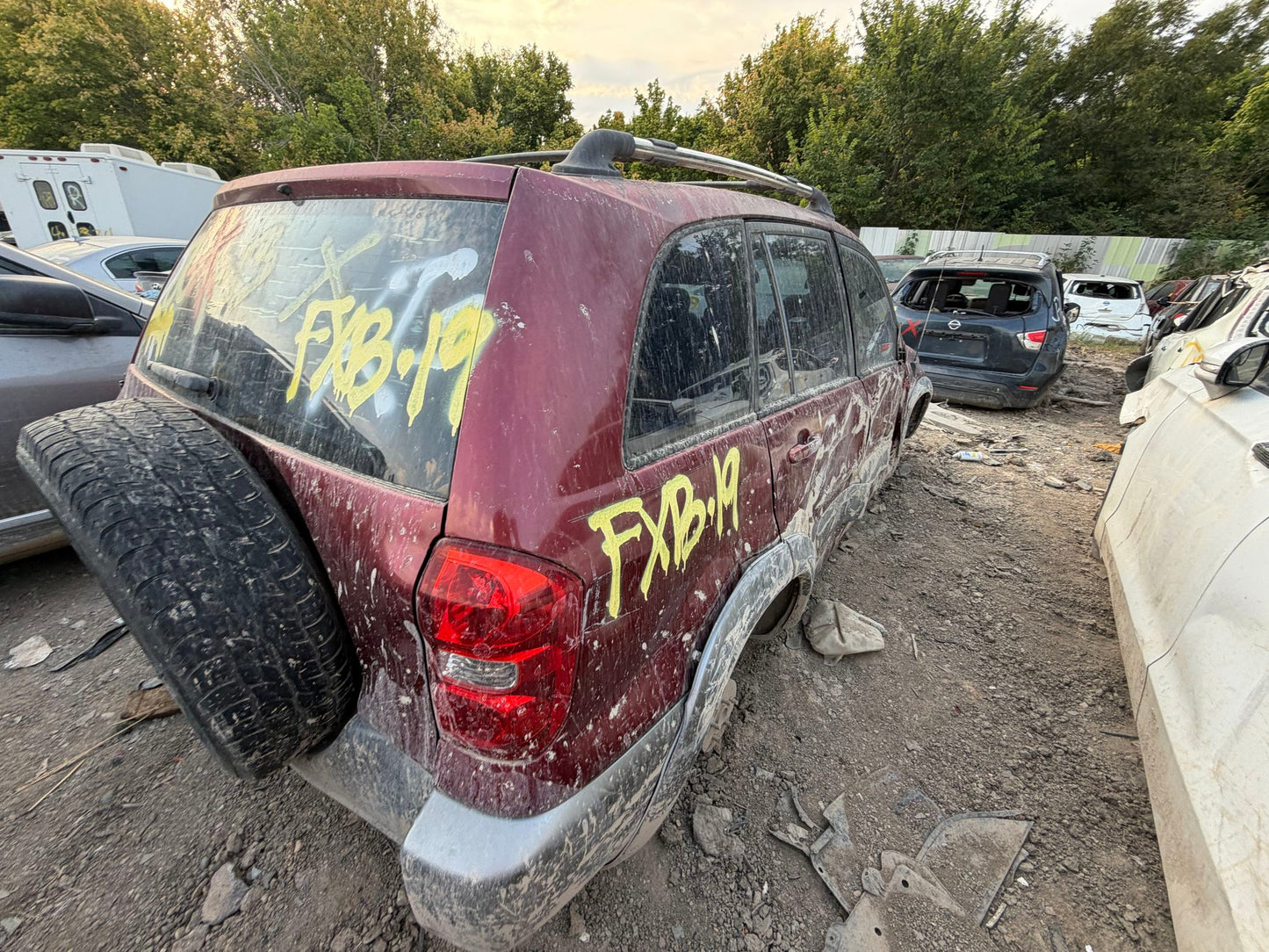 Mirror Driver Side 2001 - 2005 Toyota RAV4