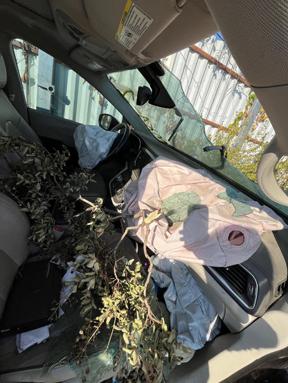 Door Latch Sliding Door Passenger Side 2017 - 2027 Chrysler Pacifica