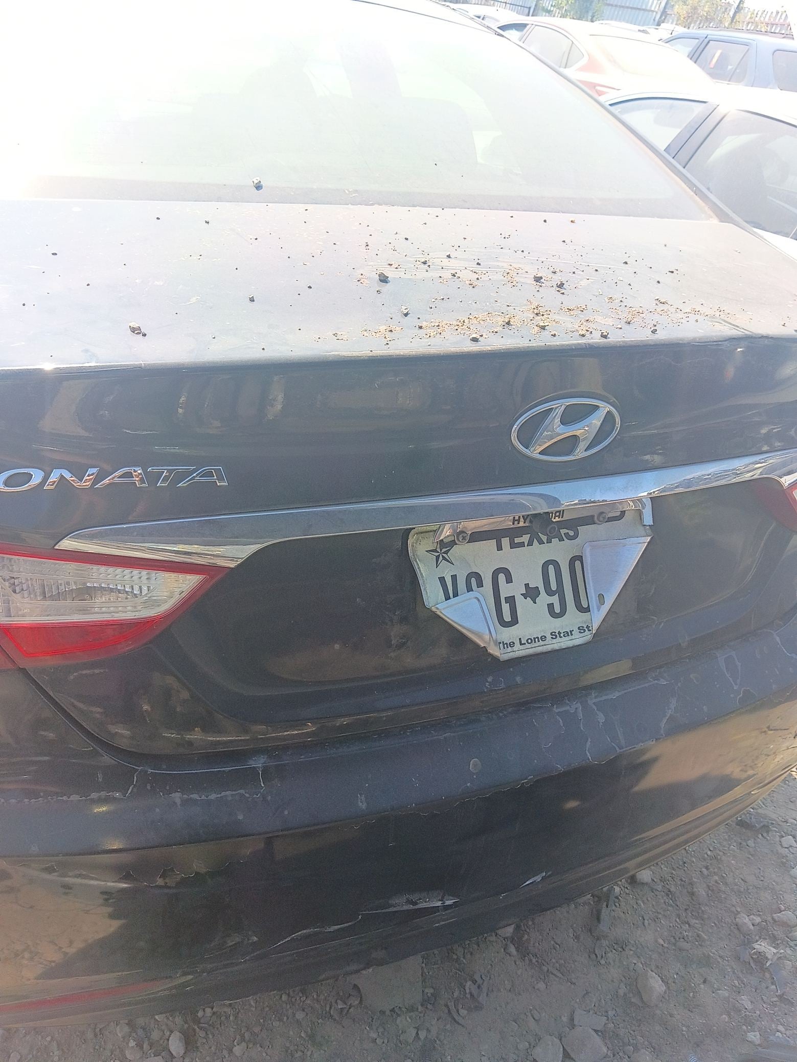Door Panel Rear Driver Side 2011 - 2014 Hyundai Sonata