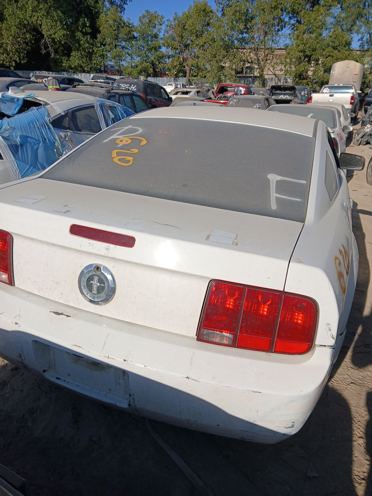 Fog Light Driver Side 2005 - 2014 Ford Mustang