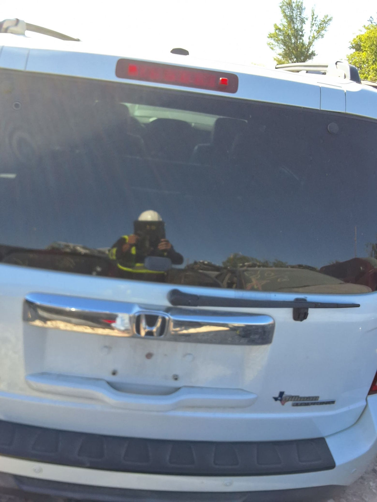 Door Trim Panel Rear Passenger Side 2009 - 2015 Honda Pilot