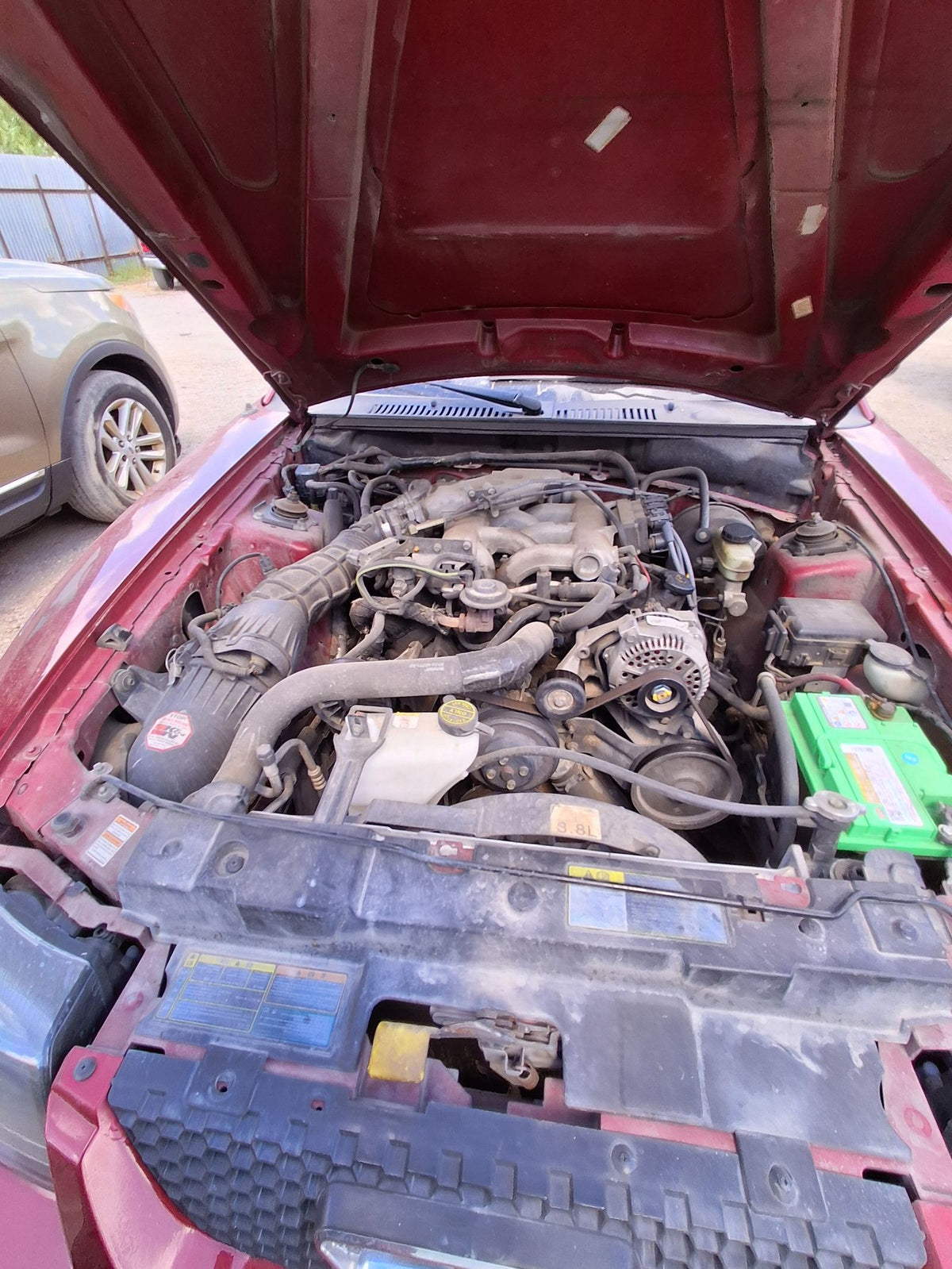 Seat Belt Rear Driver Side 1994 - 2004 Ford Mustang