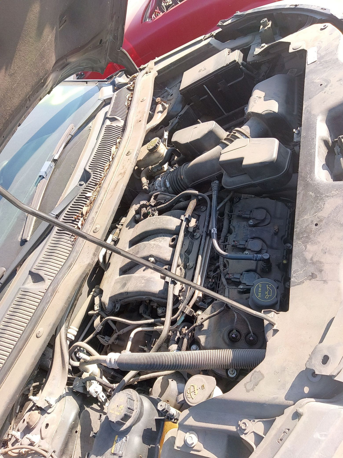 Seat Belt Buckle Front Passenger Side 2011 - 2019 Ford Explorer