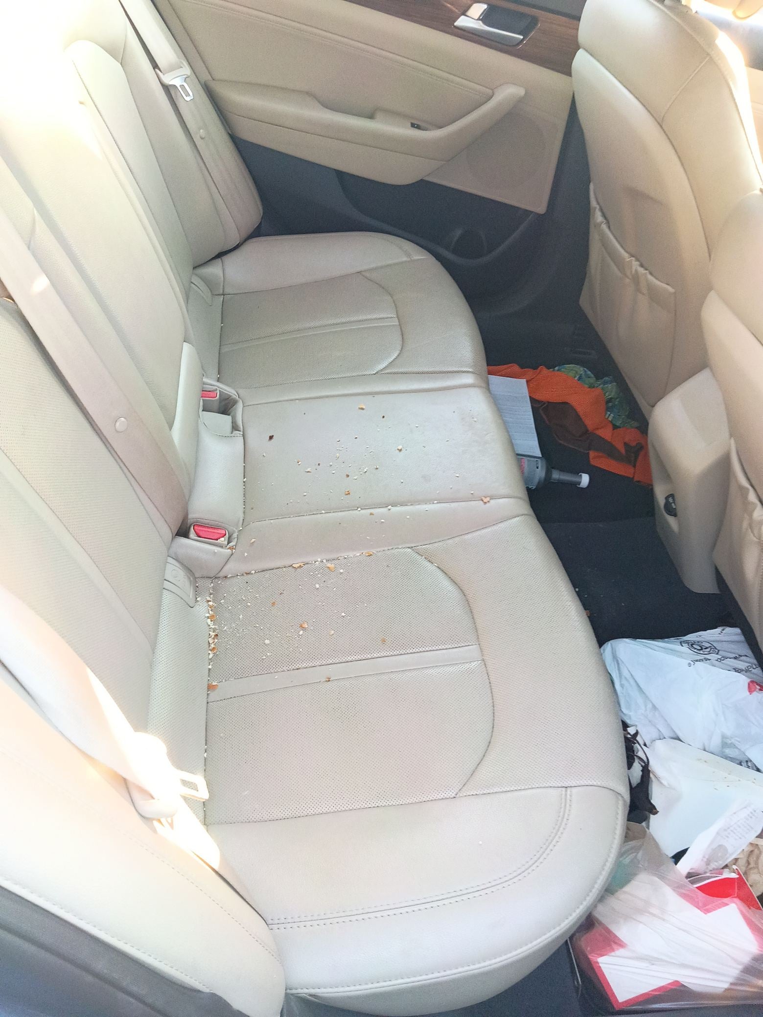 Vent Window Glass Front Passenger Side 2015 - 2019 Hyundai Sonata