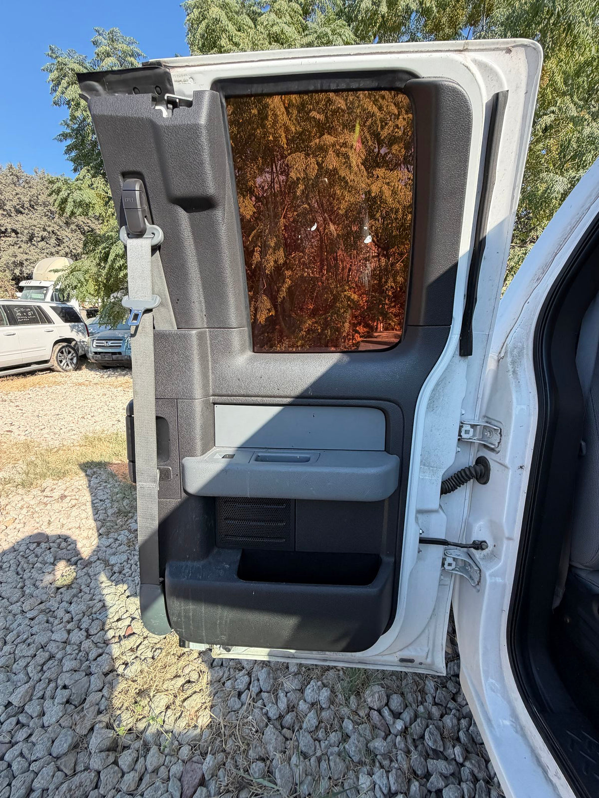 Door Trim Panel Rear Passenger Side 2009 - 2014 Ford F-150