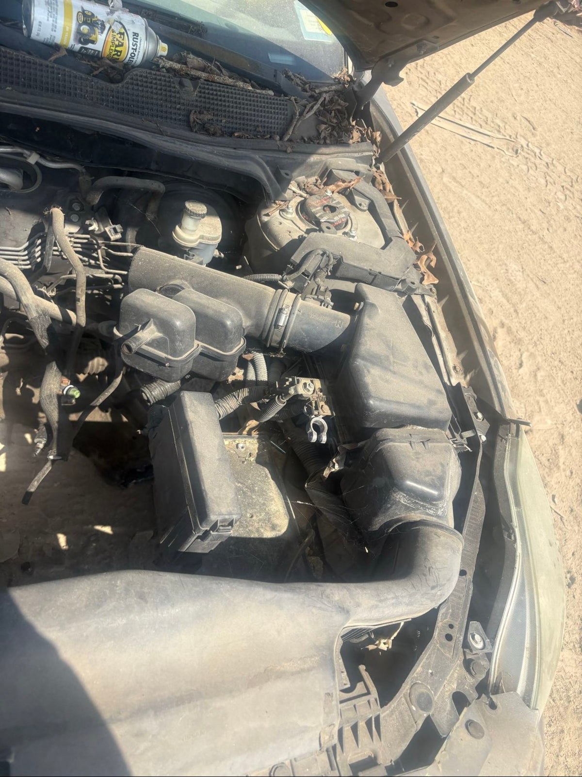 Sunroof Assembly 2004 - 2008 Nissan Maxima