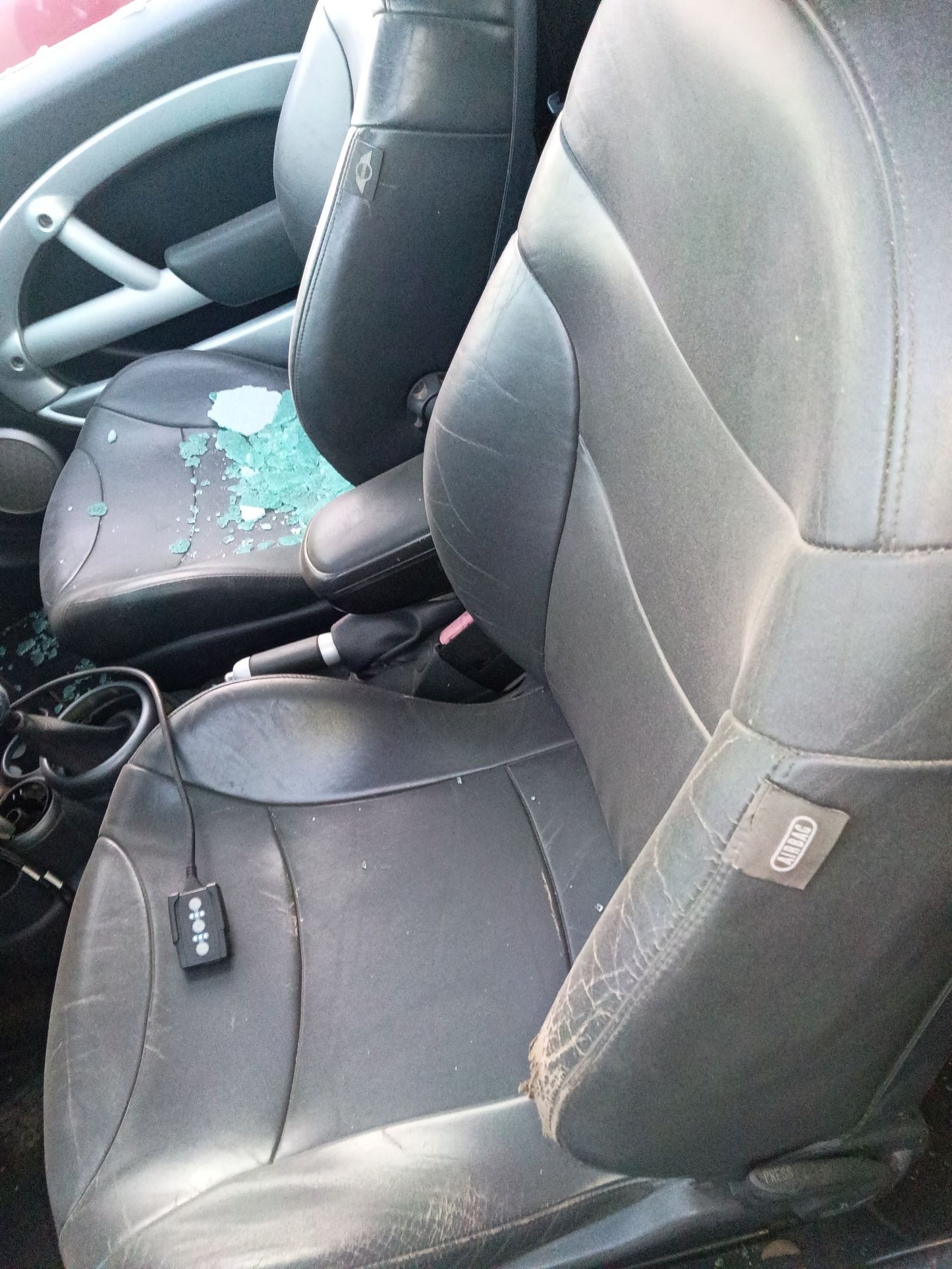 Door Panel Passenger Side 2002 - 2006 Mini Cooper Hardtop