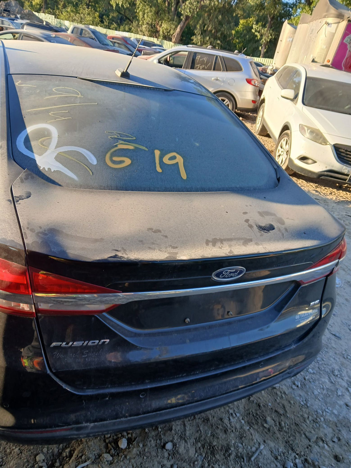 Door Window Glass Front Passenger Side 2013 - 2020 Ford Fusion