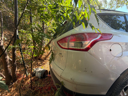 Strut Front Driver Side 2013 - 2019 Ford Escape