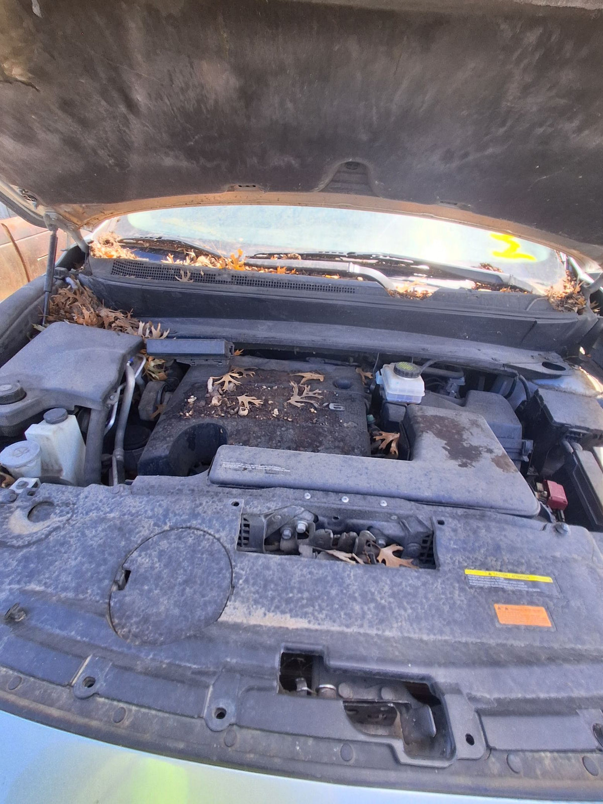 Door Shell Front Driver Side 2014 - 2020 Infiniti QX60