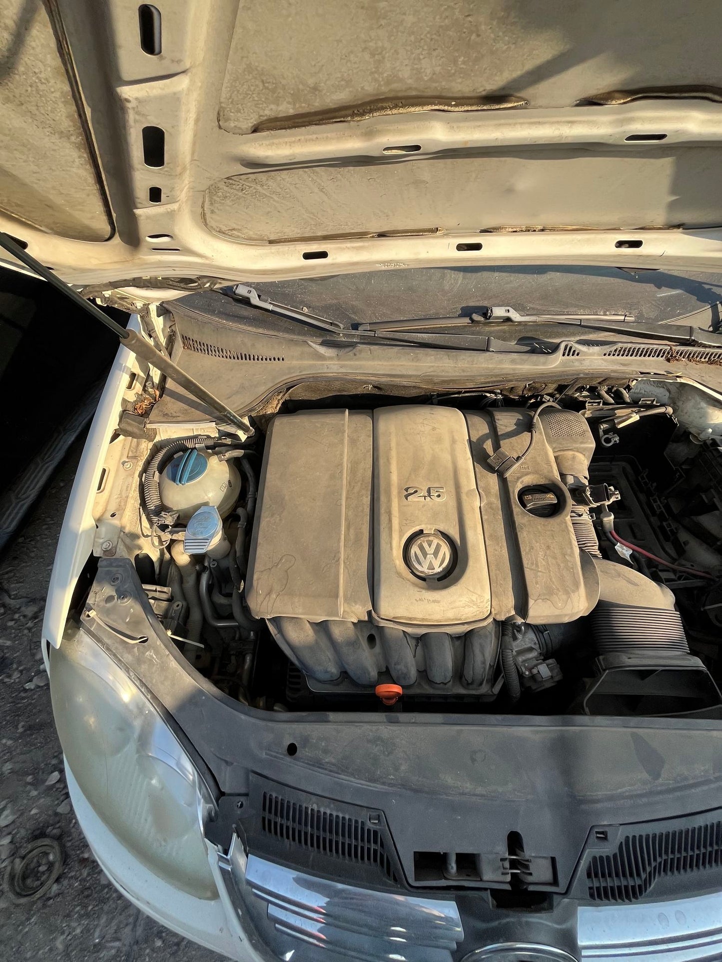 Door Panel Rear Driver Side 2006 - 2010 Volkswagen Jetta