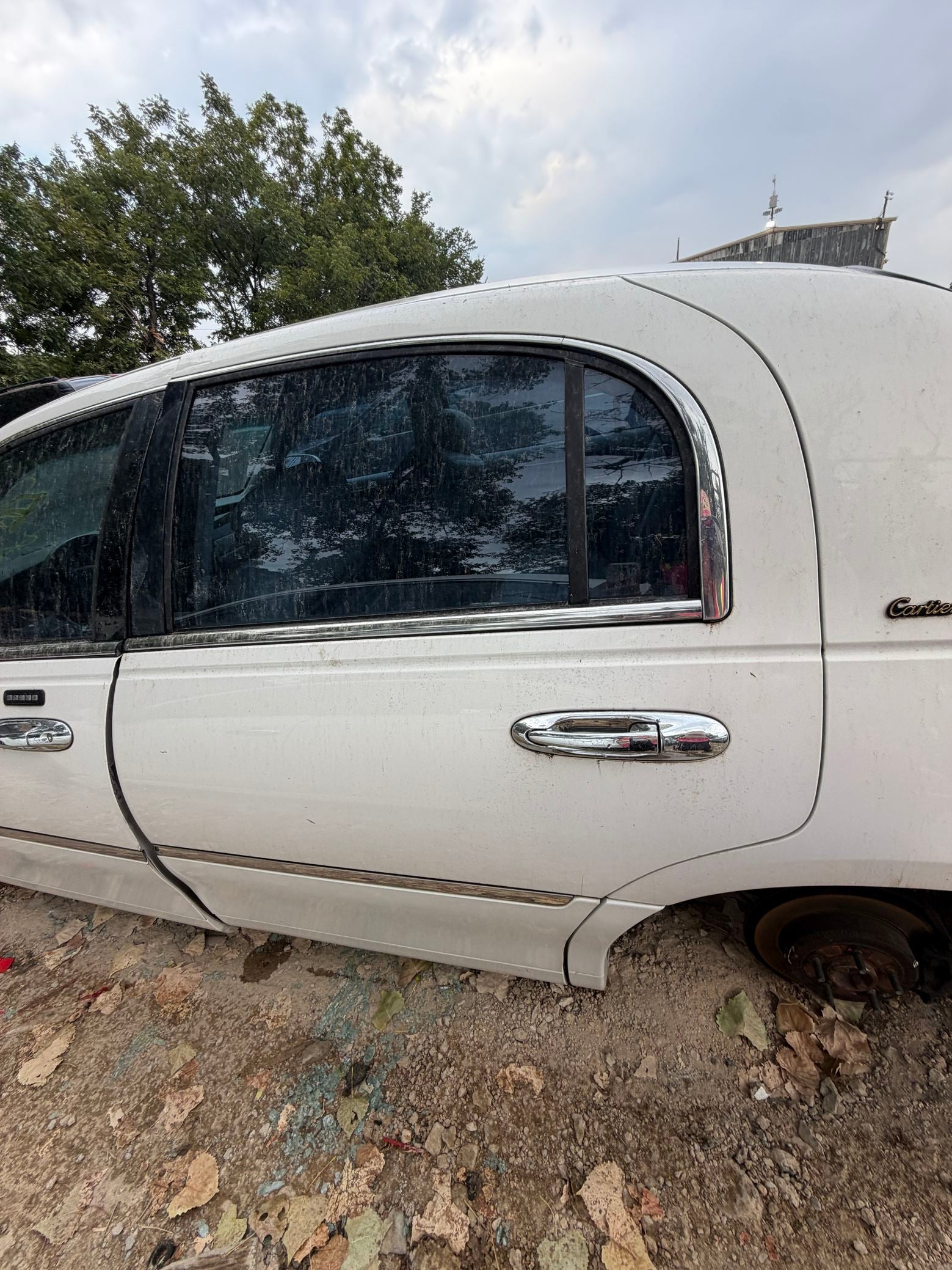 Body Side Molding Driver Side 1998 - 2011 Lincoln Town Car