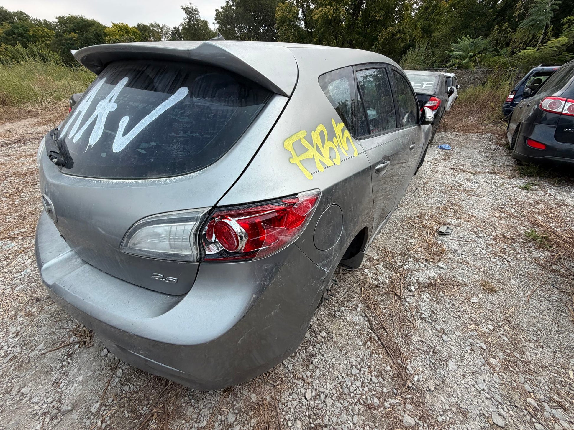 Door Window Glass Rear Driver Side 2010 - 2013 Mazda MAZDA3