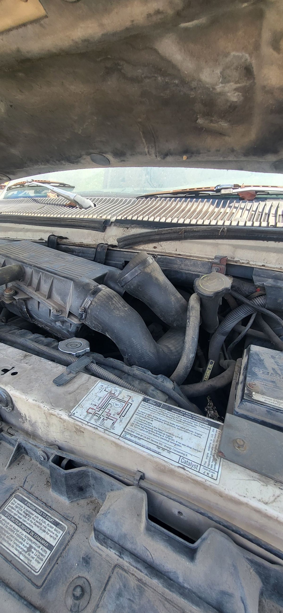 Window Motor Rear Passenger Side 2000 - 2005 Cadillac DeVille