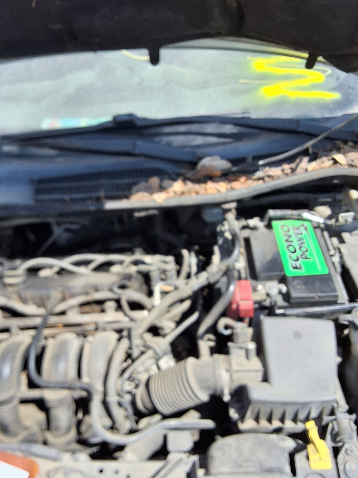 Window Regulator Front Driver Side 2011 - 2019 Ford Fiesta
