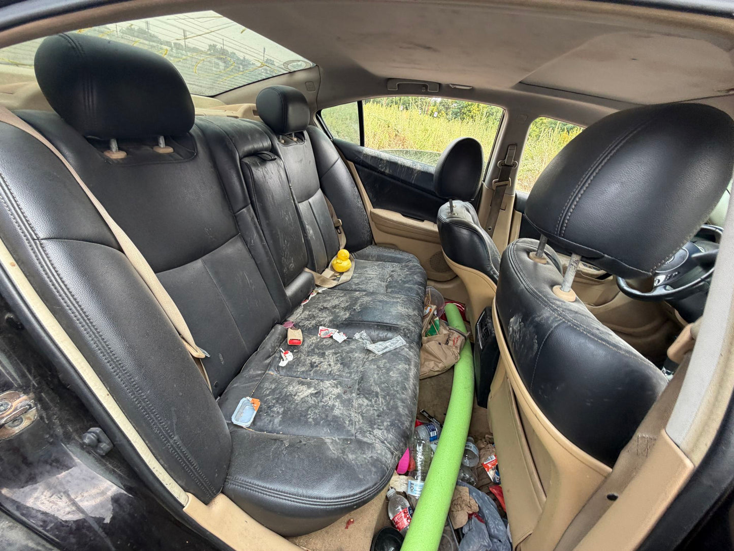 C-Pillar Trim Panel Passenger Side 2009 - 2014 Nissan Maxima