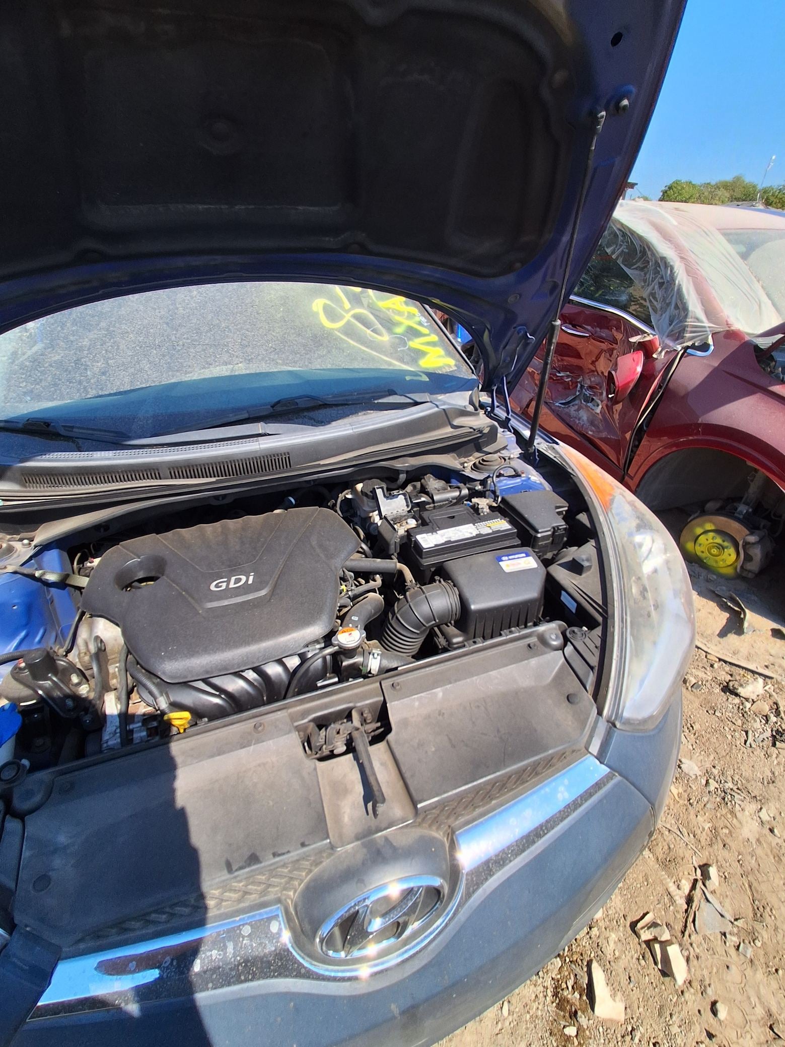 Door Wiring Harness Rear Passenger Side 2012 - 2017 Hyundai Veloster
