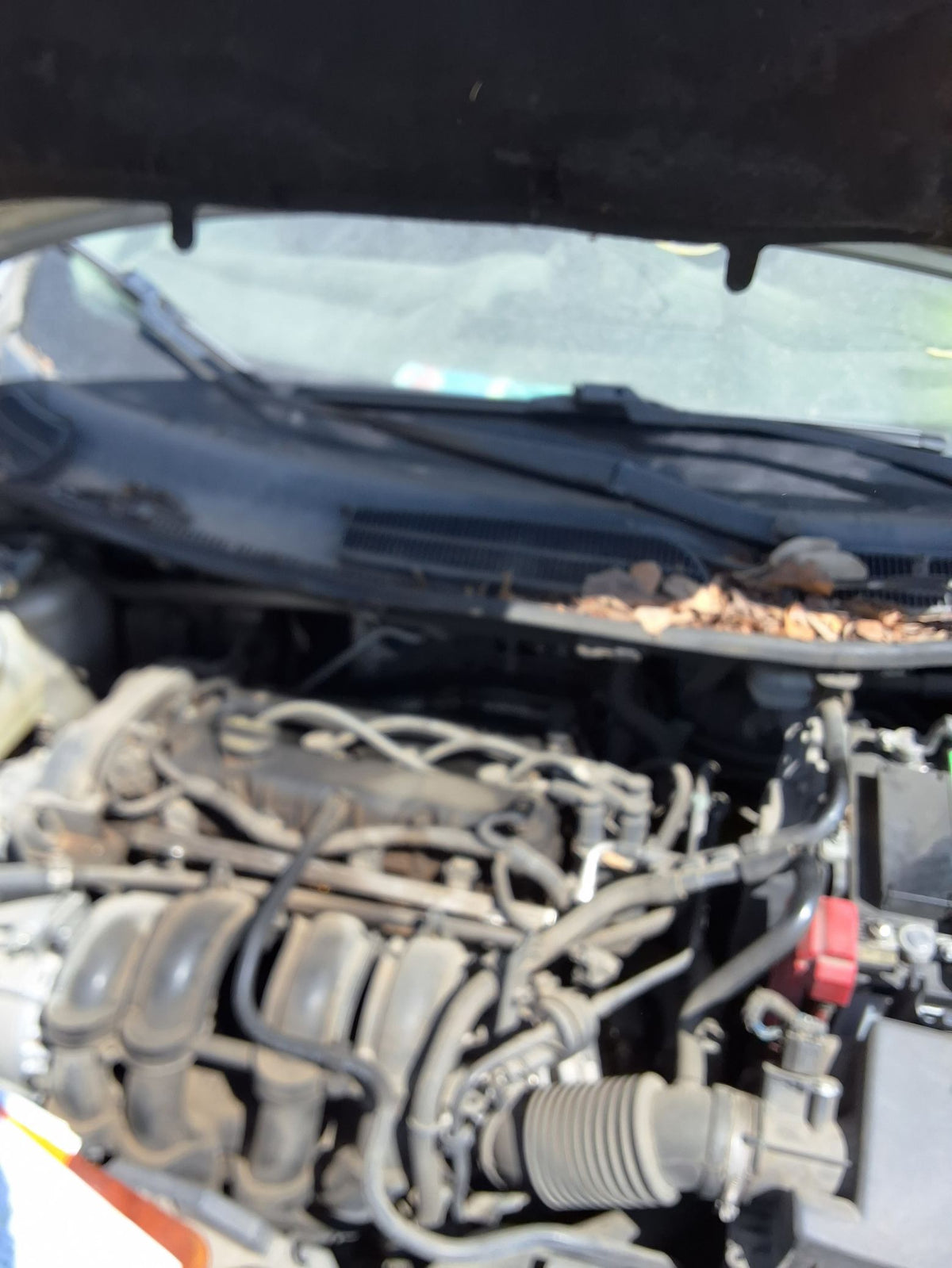 Quarter Window Glass Driver Side 2011 - 2019 Ford Fiesta